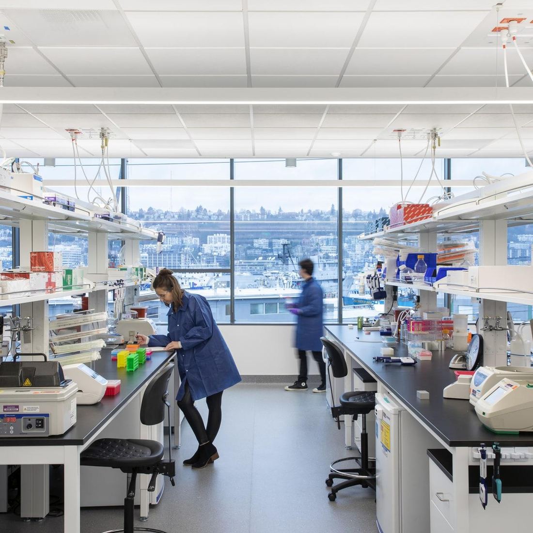 Researchers working in a laboratory